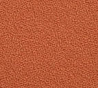 504  Kvadrat